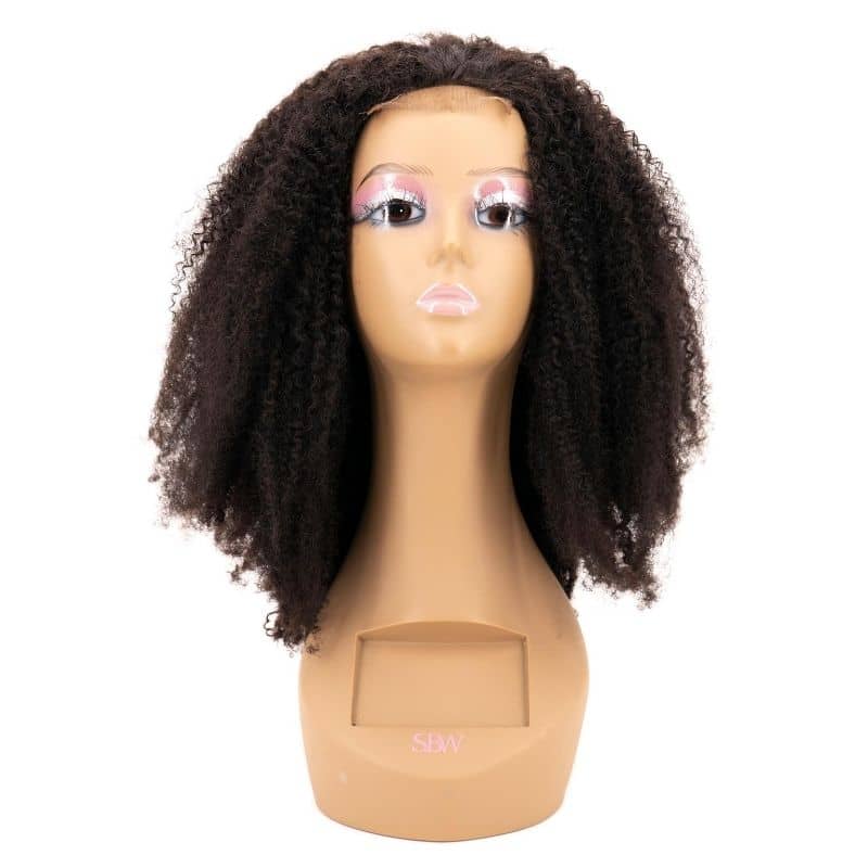 Afro Kinky Curly Closure Wig - Qaidence Hair Collection