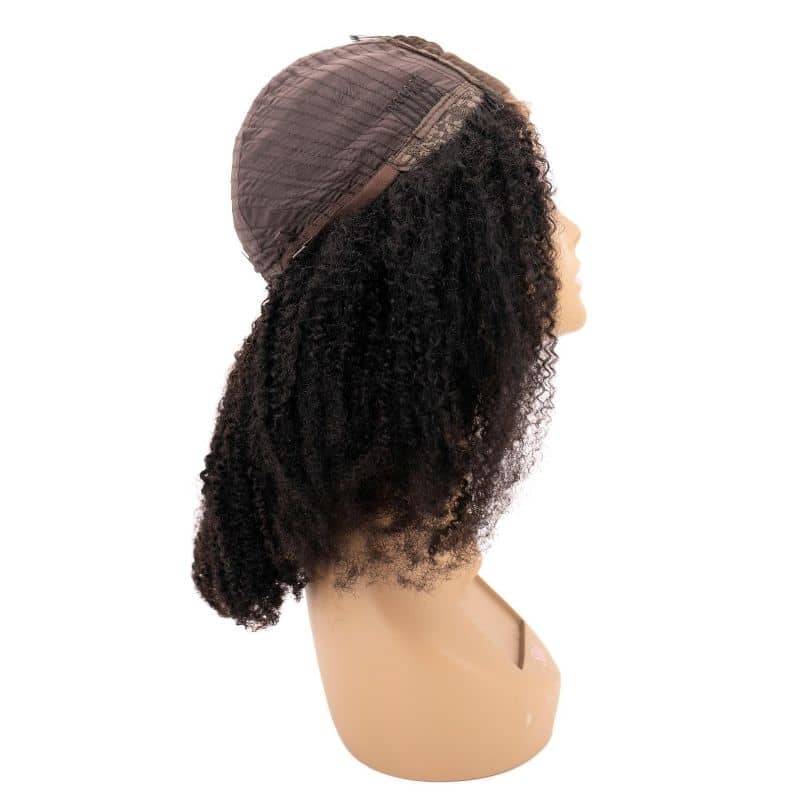 Afro Kinky Curly Closure Wig - Qaidence Hair Collection