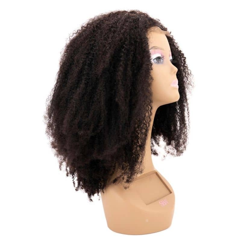 Afro Kinky Curly Closure Wig - Qaidence Hair Collection