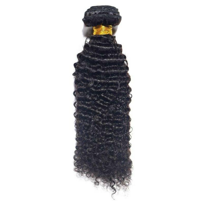Brazilian Afro Kinky Curly - Qaidence Hair Collection
