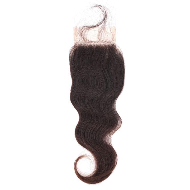 Raw Indian Wavy Closure - Qaidence Hair Collection